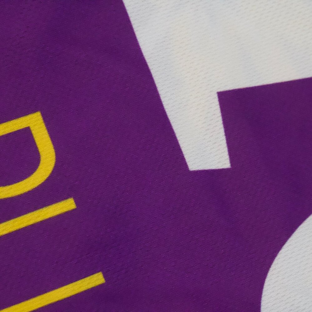 NEW Men's Los Angeles Sparks Kelsey Plum #10 Purple Home Jersey Size Medium - Picture 7 of 7